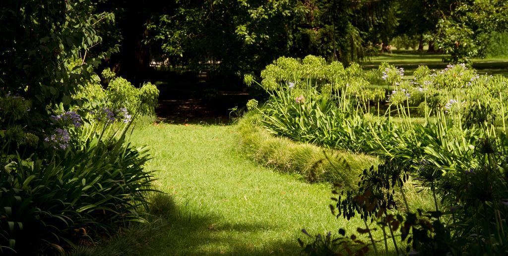 Estancia Monte Viejo Brandsen Dış mekan fotoğraf
