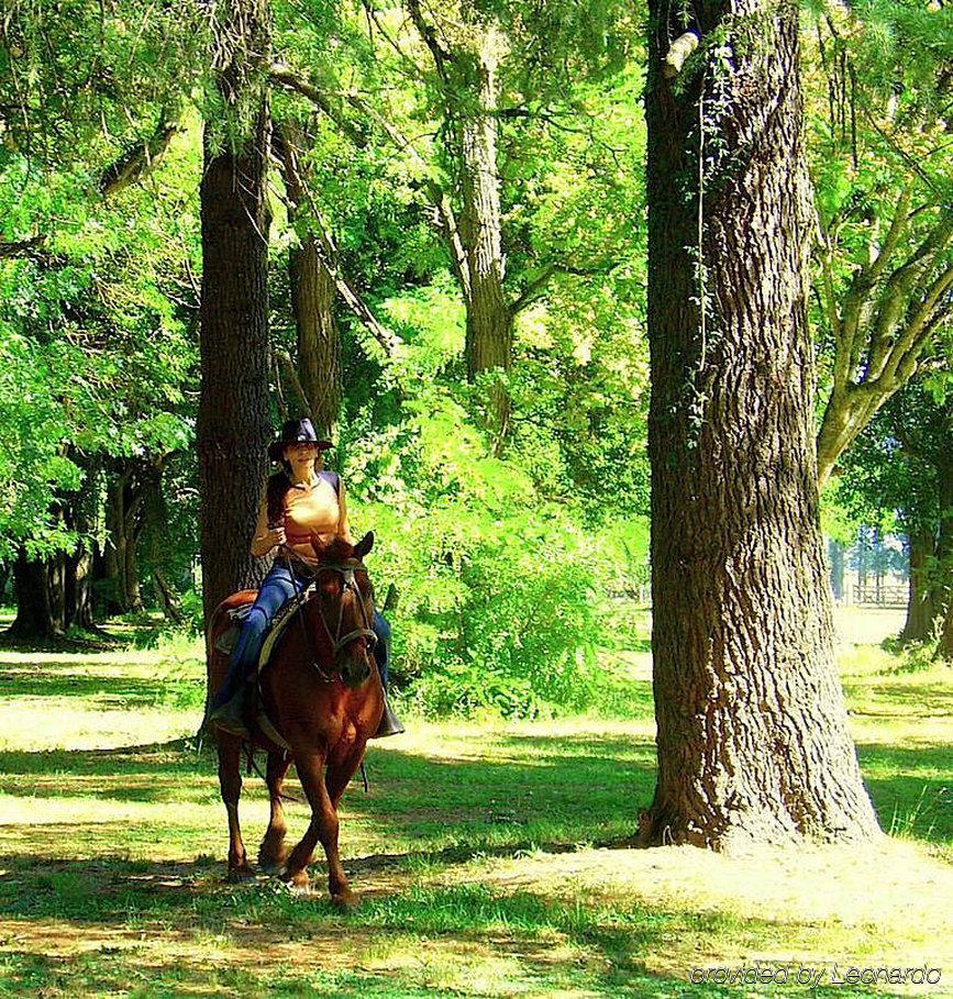 Estancia Monte Viejo Brandsen Dış mekan fotoğraf